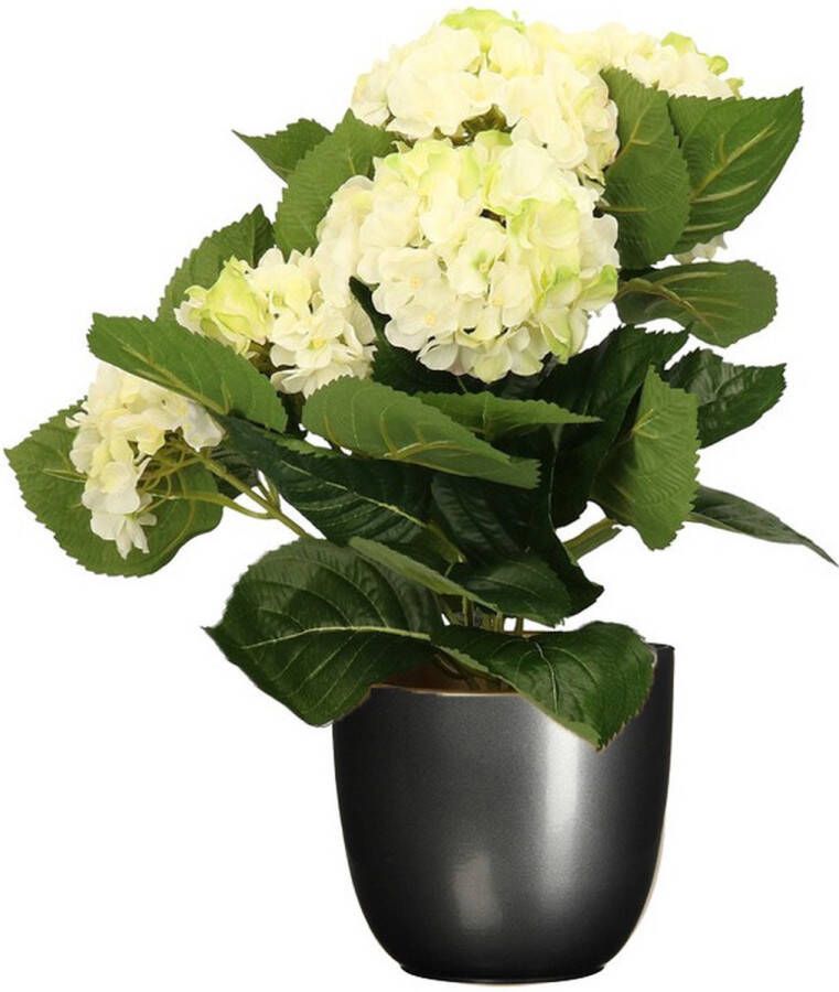 Merkloos Hortensia kunstplant kunstbloemen 36 cm wit groen in pot titanium grijs glans Kunstplanten
