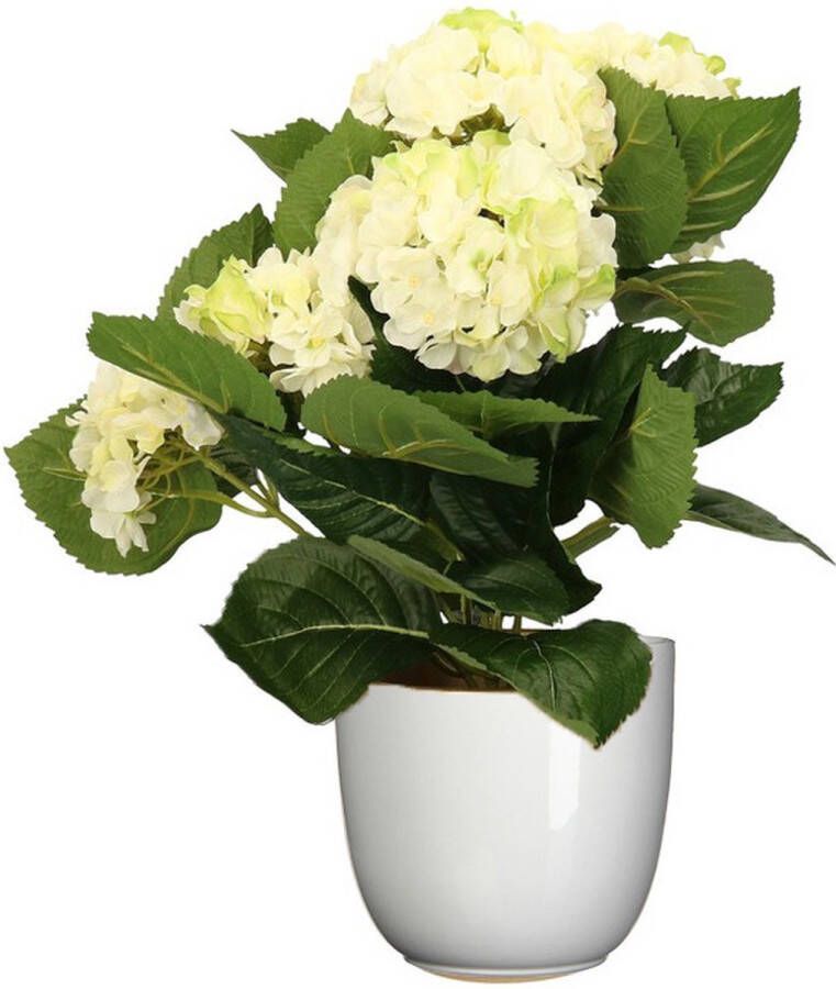 Merkloos Hortensia kunstplant kunstbloemen 36 cm wit groen in pot wit glans Kunstplanten