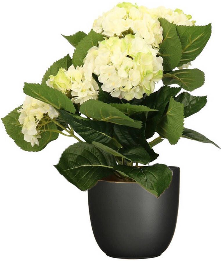 Merkloos Hortensia kunstplant kunstbloemen 36 cm wit groen in pot zwart Kunstplanten