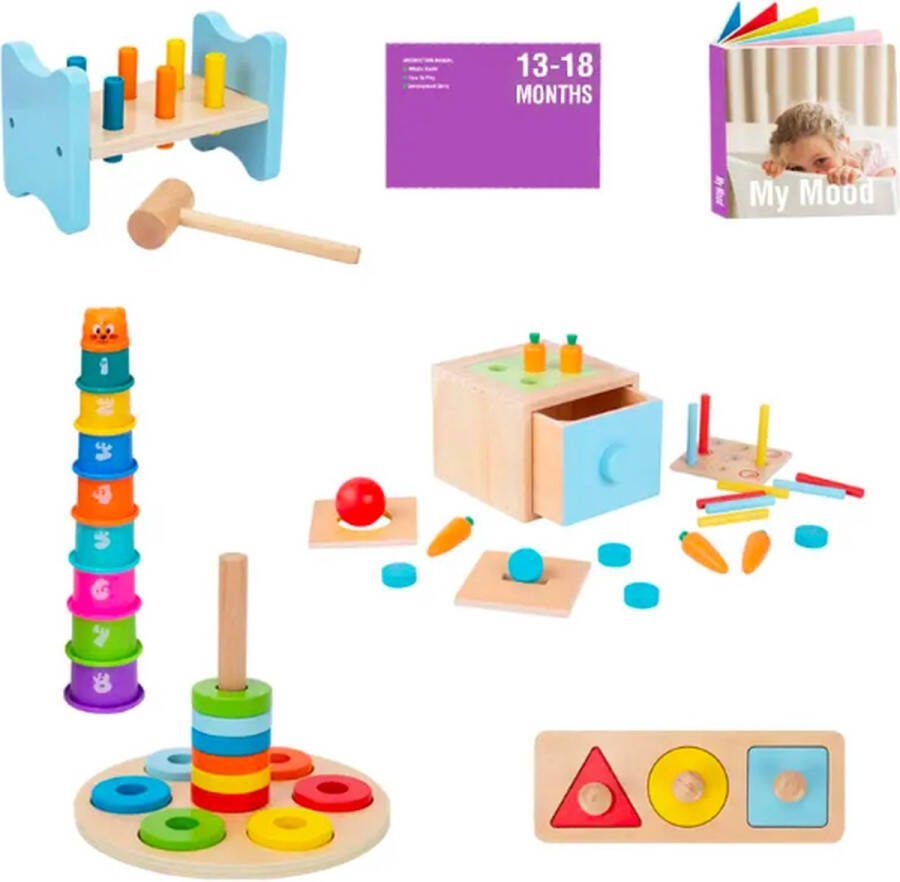 Houten speelgoed Complete set voor Jongen of Meisje 3 in 1 Montessori Speelgoed Educatief Baby Peuter Speelgoed 13 maanden en Ouder