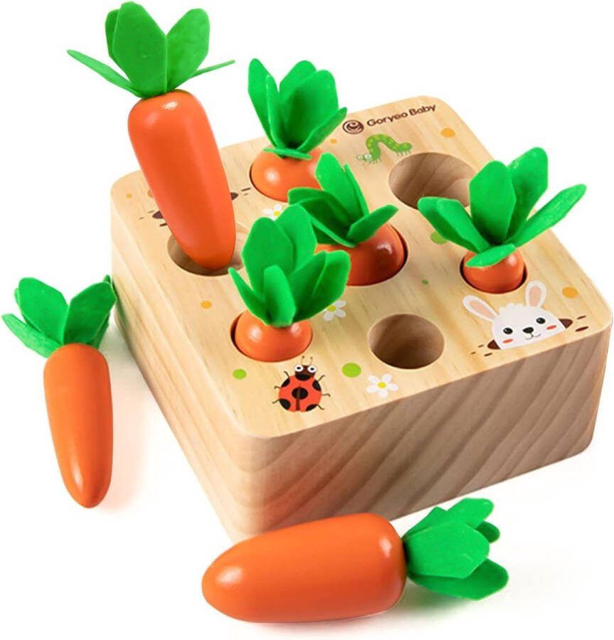 Houten speelgoed vanaf 1 jaar stimuleert de baby-motoriek vanaf 12 maanden voor jongens en meisjes Montessori-sorteerspel houten puzzel educatief speelgoed voor kinderen cadeau-idee