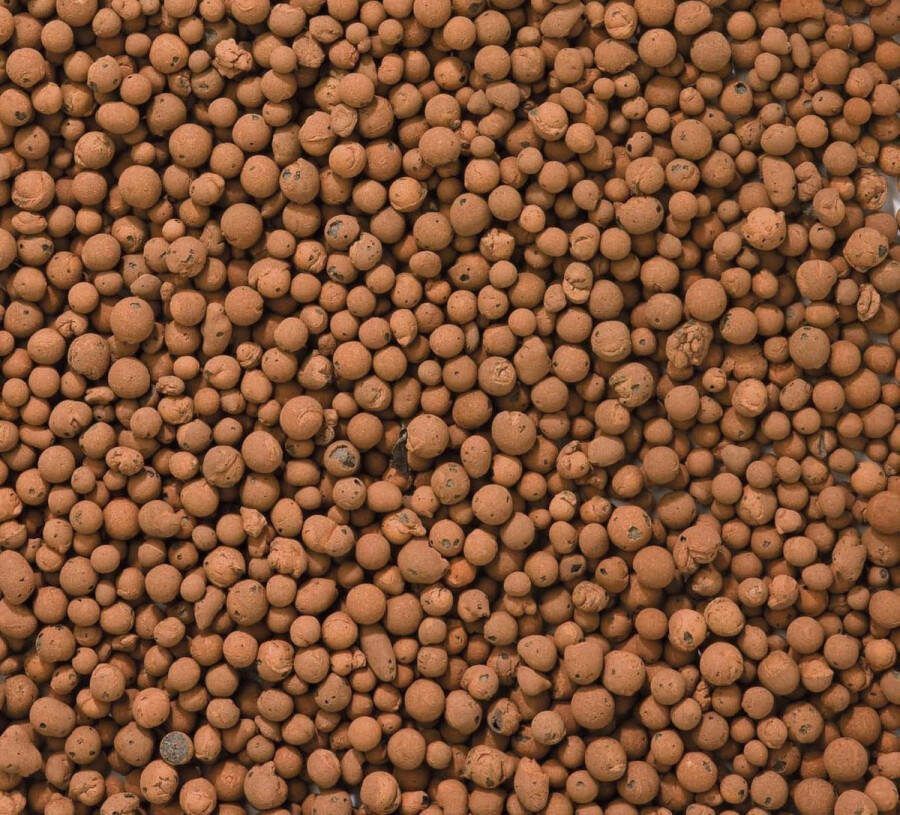 Hydrokorrels 10 L (3 1 kg)