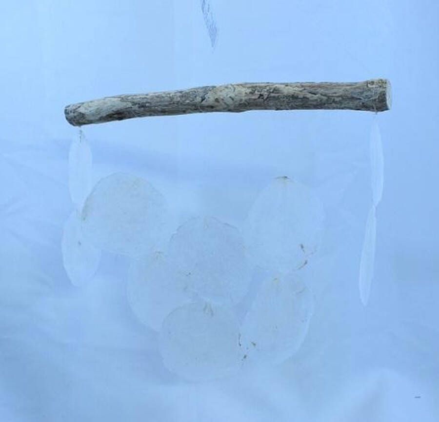Ibiza schelpenhanger Boho natuurproduct 30 x L 27 cm (ophangdraad niet meegerekend) WINDGONG