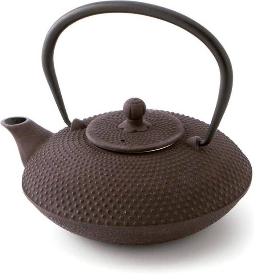 IJzeren theepot met filter Tokio 0.8 liter