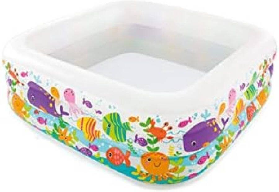 Intex 57471NP Zee Aquarium Zwembad 159cm x 159cm x 50cm