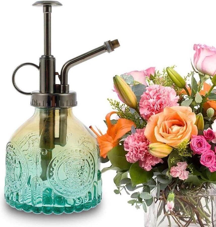Irrigatiespuit glazen gietkan vintage verdamper 200 ml gieter voor bloemen vetplanten kruiden planten huis en tuin