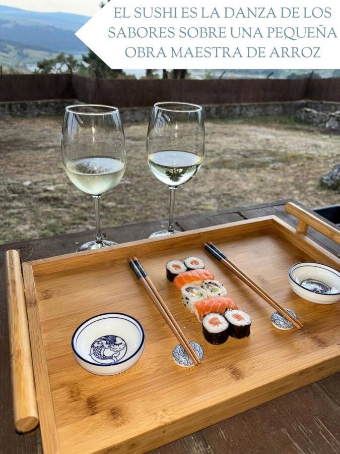 Japanse Melamine Sushi Gerechten KWALITEITS SUSHI SET