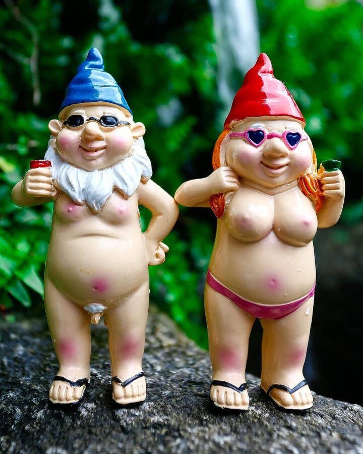 Kabouter Middelvinger Kabouter Tuinkabouter Grappig Tuinkabouter Middelvinger Kabouter Beeld Kabouter Fuck You