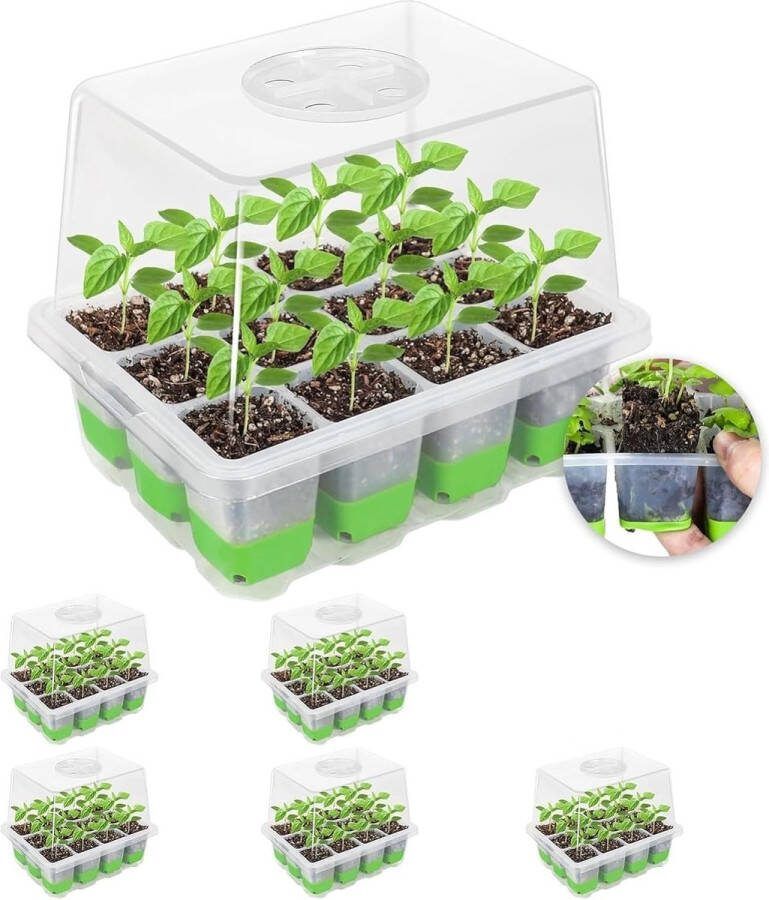 Kamerbroeikas kweekbak herbruikbare kweekplaat 6 stuks 72 cellen mini-broeikas kleine kweekset met verhoogd deksel planten kweek voor zaailingen groen