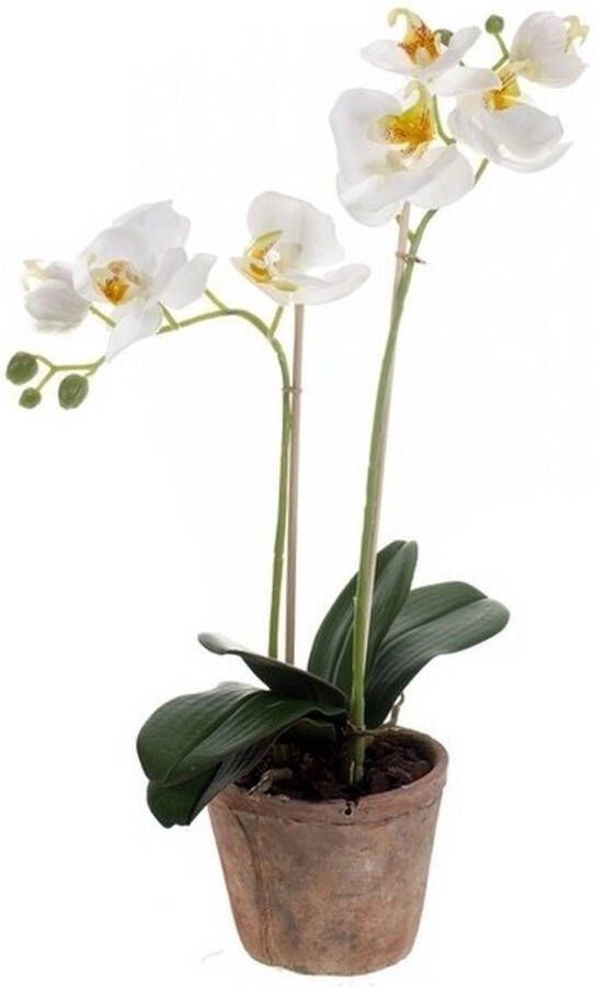Bellatio Flowers & Plants Kunstplanten Orchidee wit 42 cm in pot Decoratie planten voor thuis of op kantoor