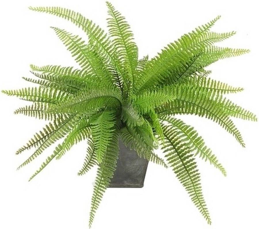 Merkloos Groene varen kunstplant 33 cm in zinken pot Kunstplanten