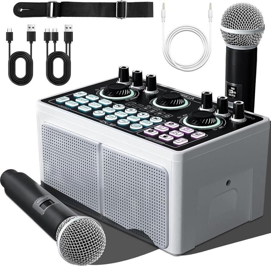 Karaoke set 3-in-1 draagbare luidspreker audio-interface met 2 microfoons TWSS geluidskaart voor indoor en outdoor zingen live streaming