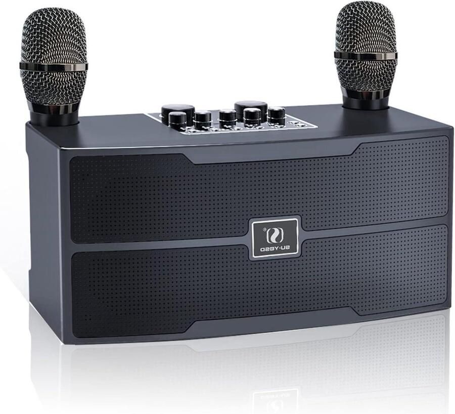 Karaoke set met Bluetooth en 2 draadloze microfoons professioneel geluid PA-systeem voor volwassenen en kinderen zangmachine met TF USB AUX-ingang