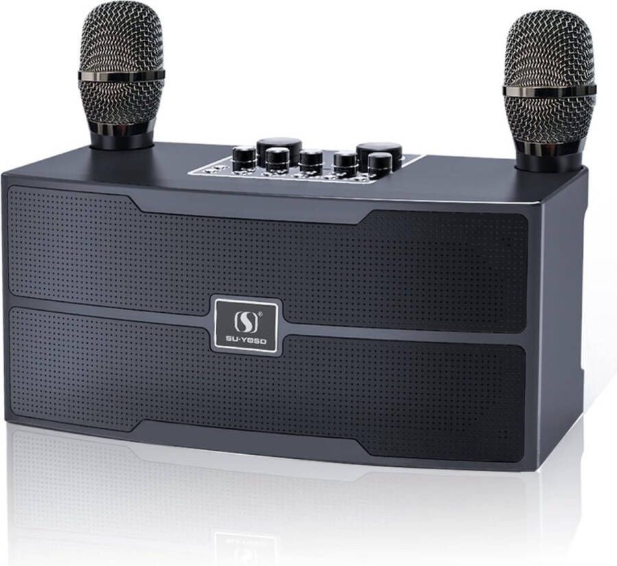 Karaoke set professional Bluetooth met 2 draadloze microfoons voor volwassenen draagbare karaoke Machine voor kinderen geluid PA-systeem zangmachine Karaoke microfoon ondersteunt TF USB AUX-ingang