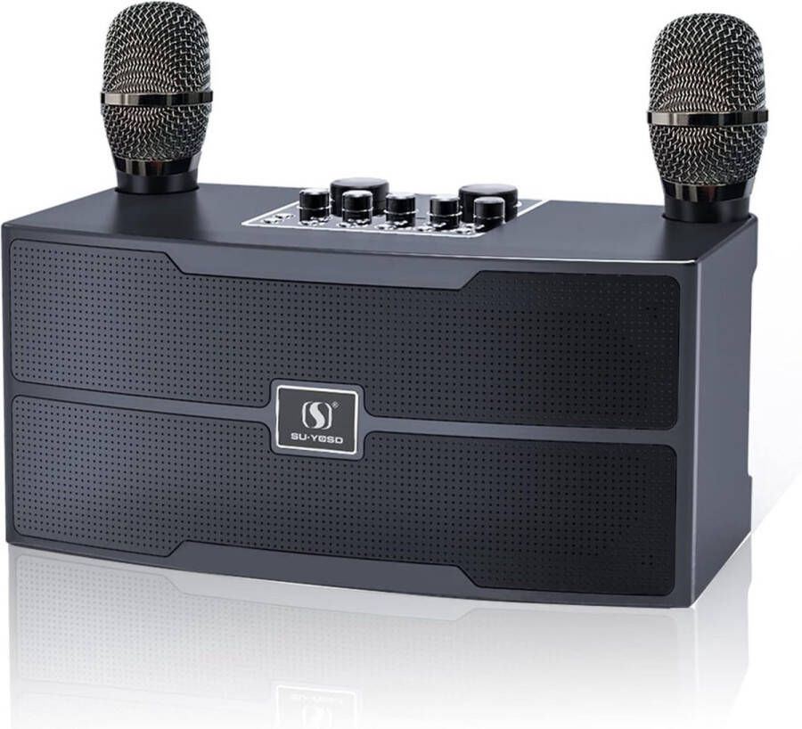 Karaoke Set Voor Volwassenen Karaoke Set Karaoke Set Met 2 Microfoons Karaoke Set Met Draadloze Microfoon Karaoke Set Draadloos