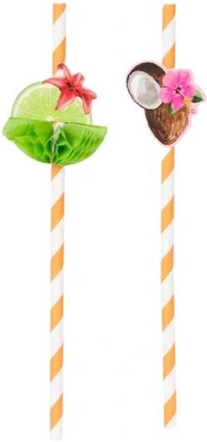 Kartonnen Rietjes met Fruit Decor Oranje Karton l 19 5 cm Set van 10 rietjes Assorti