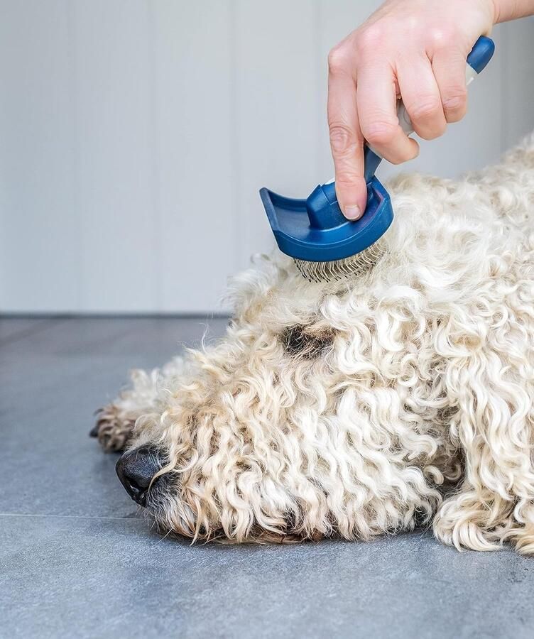Kat Grooming Borstel Hond Slicker Borstel Huisdier Reinigingsvergieten Borstel Massage Kammen voor katten en honden met kort Medium & Lang Haar