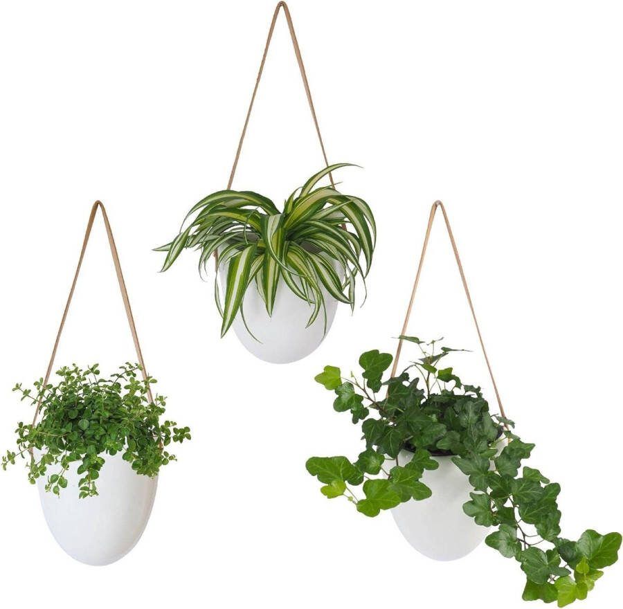 Keramieken Plantenhanger Set van 3 Hangpotten voor Hangende Bloempot Inclusief Koorden en Opbergtasje