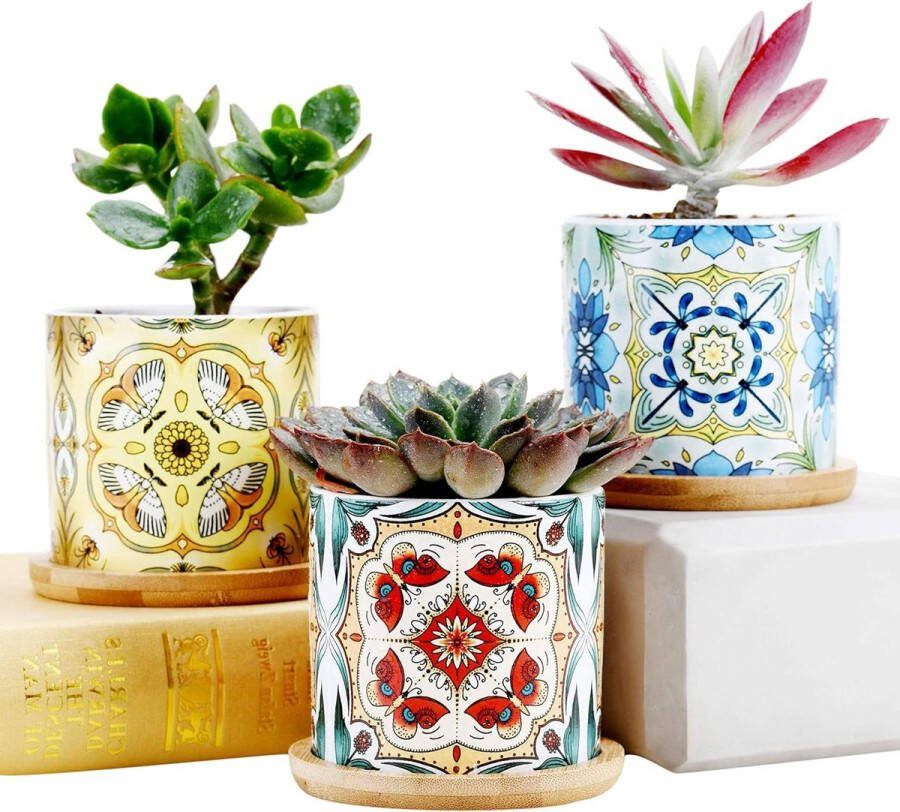 Keramische Indoor Bloempot Vetplanten Cactus Planter Gift Idee Vlinder Libellenmot Serie Home Office Decor Decoratieve Mini Plant Pot