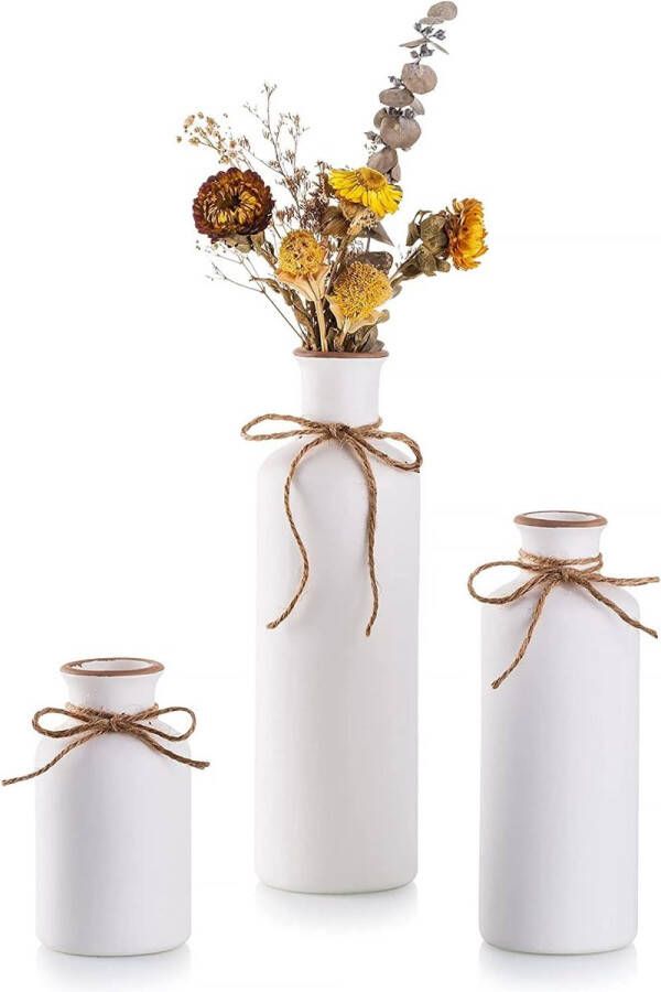Keramische vaas wit set van 3 droogbloemen pampasgras vintage mat keramiek kleine vazen voor moderne tafeldecoratie woonkamer thuis salontafel entree foyer bruiloftsdecoratie 12 5 18 7 25 cm