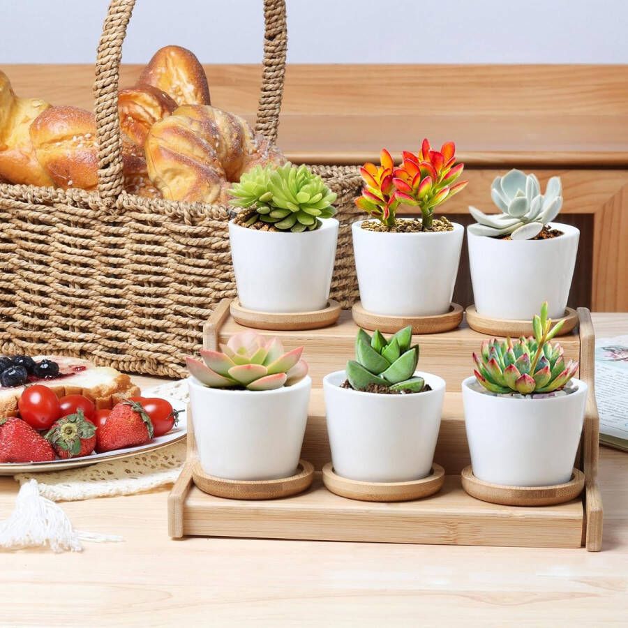 Keramische Vetplant Potten Cactus Plant Potten Mini Bloempotten met Onderschotel Rond Wit (Diameter 6 5 cm Set van 12)