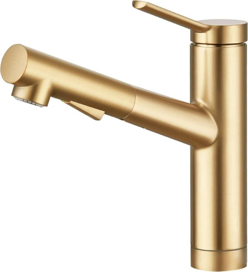 Keukenkraan met uittrekbare handdouche met 2 modi keukenkraan 120 graden draaibaar eengreepsmengkraan voor de keuken voor koud en warm water geborsteld goud