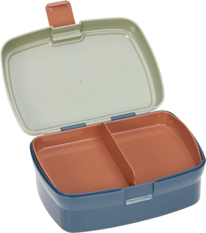 Kinderlunchbox broodtrommel met uitneembare onderverdeling BPA-vrij Happy Prints