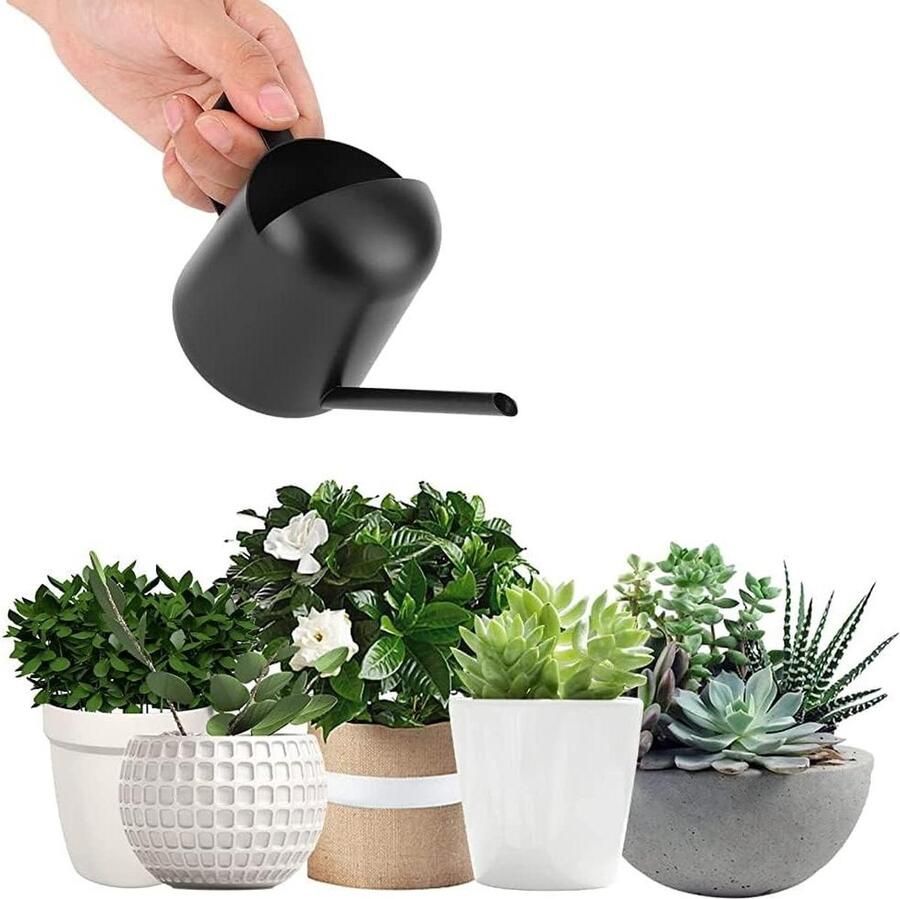 Kleine 300 ml roestvrijstalen gieter lange schenktuit voor binnen en buiten planten bonsai bloemen (zwart)