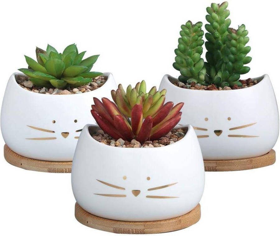 Kleine Bloempotten Voor Cactussen Inclusief Schalen Van Hout Set Van 3 Vetplanten Groene Planten Kantoor En Vensterbank planter box
