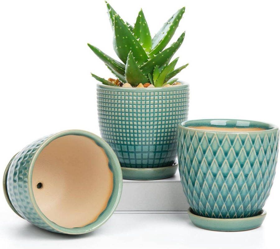 Kleine ronde keramische bloempotten set van 3 succulentenpot met schotel en afvoergat voor cactus vetplanten binnen buiten diameter 11 2 cm
