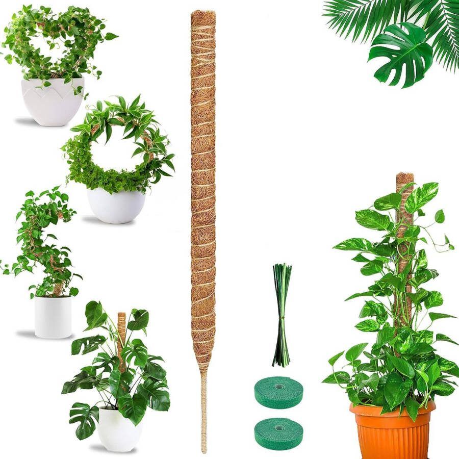 Klimhulp 1 stuk 160 cm kokosstaaf plantenstok mosstok voor indoor klimplanten klimhulp kamerplanten voor klimplanten die naar boven groeien