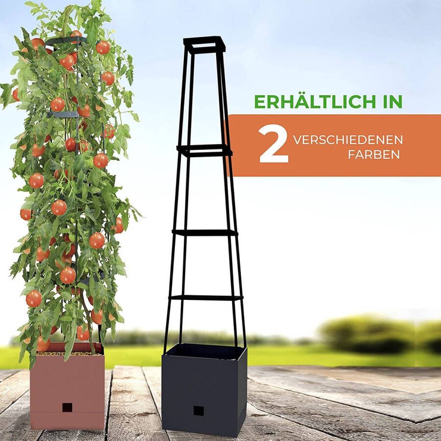 Klimplantenrek voor tomaten Plantenkweektoren Maxitom met klimhulp en 2 liter waterreservoir inhoud 16 liter 150 cm hoog