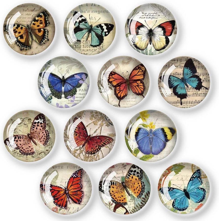 Koelkastmagneten decoratief voor koelkastmagneten kinderen glazen cabochons glasmagneten voor whiteboards koelkasten retro vlinder