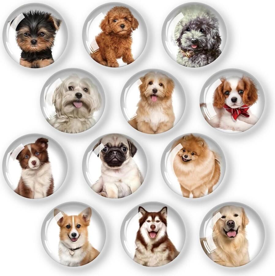 Koelkastmagneten decoratief voor koelkastmagneten kinderen glazen cabochons glasmagneten voor whiteboards koelkasten foto's rond 30 mm kleine honden 12 stuks