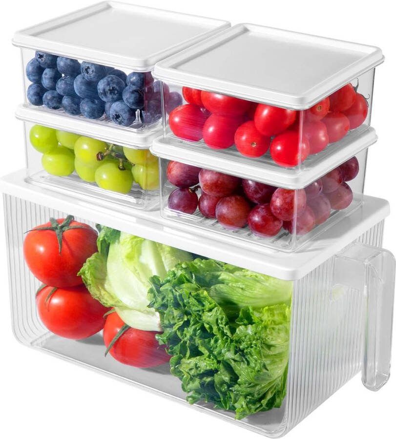 Koelkastorganizer 5 stuks vershouddozen met deksel koelkastopslag fruit voor keuken opbergdoos koelkast koelkastorganizer stapelbaar voorraadkamer gemengde groenten BPA-vrij