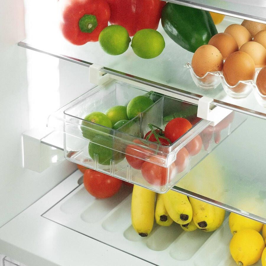 Koelkastorganizer lade opbergbesparende keukenkast lade met 2 items [set van 1] incl. bakje voor 12 eieren etiketten en pen traploos verstelbare poten 29 en 40 cm BPA-vrij
