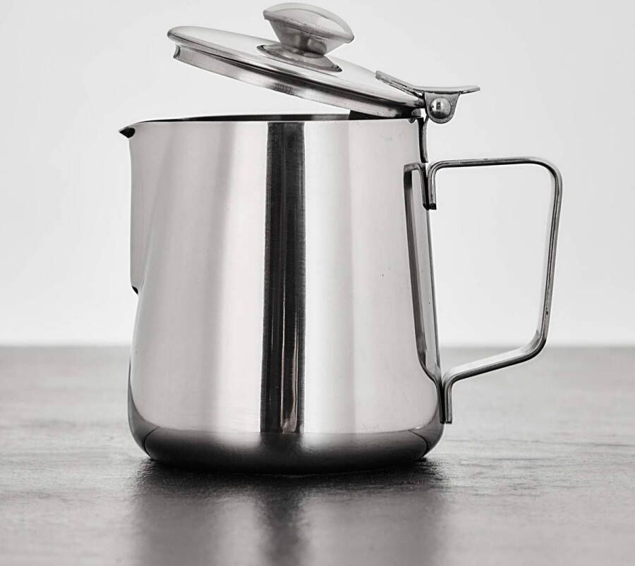 Koffiepotje melkkannetje theepot koffiepot kannetje met deksel voor thee of koffie 600 ml van roestvrij staal