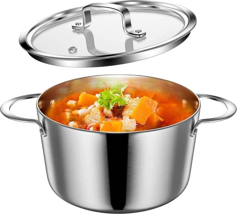 Kookpan met Deksel van Glas 20 cm 3L Soeppan Inductie RVS Roestvrij Staal Geschikt voor alle warmtebronnen Ovenvast Vaatwasserbestendig Ongecoat