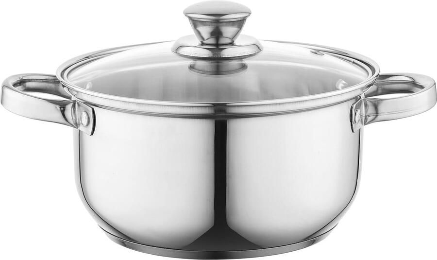 Kookpan van roestvrij staal (2 9 l) 20 cm kookpan met glazen deksel met maatbeker en geklonken handgreep vaatwasmachinebestendig ideaal voor inductiekookplaat gasfornuis en elektrisch