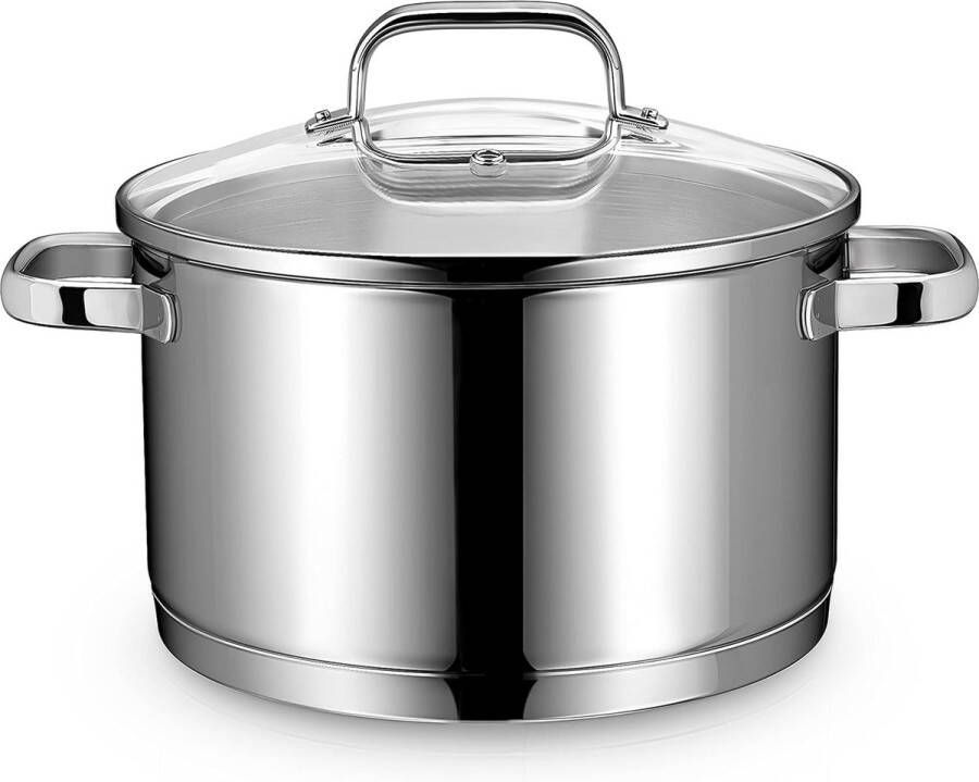 Kookpot inductie 24 cm met glazen deksel kookpan groot 6 l van 18 10 roestvrij staal handvat niet heet gesmede bodem voor alle fornuizen pot groot als soeppan noedelpan spaghettipot