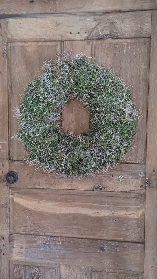 Krans iron bush 50 cm XL