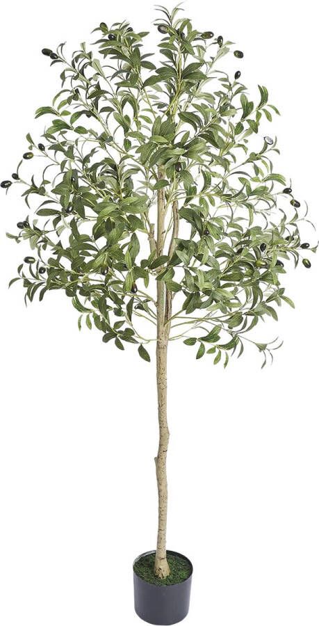 KTN Kunst Olijfboom Kunstboom Kunstplant Mediterrane Sierboom Kunstplant Voor Binnen 155 cm