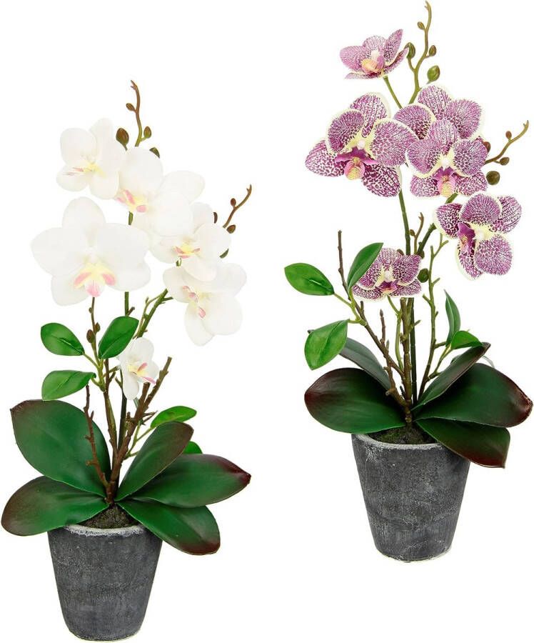 Kunstbloem vlinder orchidee met bladeren en luchtwortels in pot van keramiek kunstbloem kunstorchidee Phalaenopsis met bloempot kunstplant bruiloft decoratie zijdebloem Real Touch Bloem