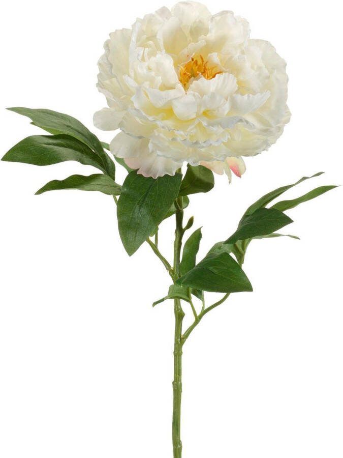 Kunstbloemen Solo Crème Peonies x 5 65cm