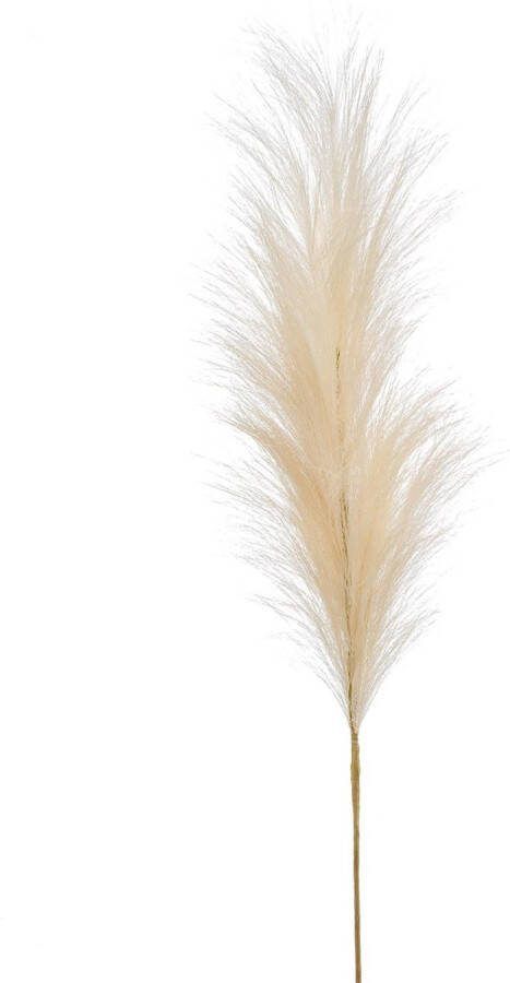 Kunstbloemen Solo x 6 115cm Pampas Plumes Crème