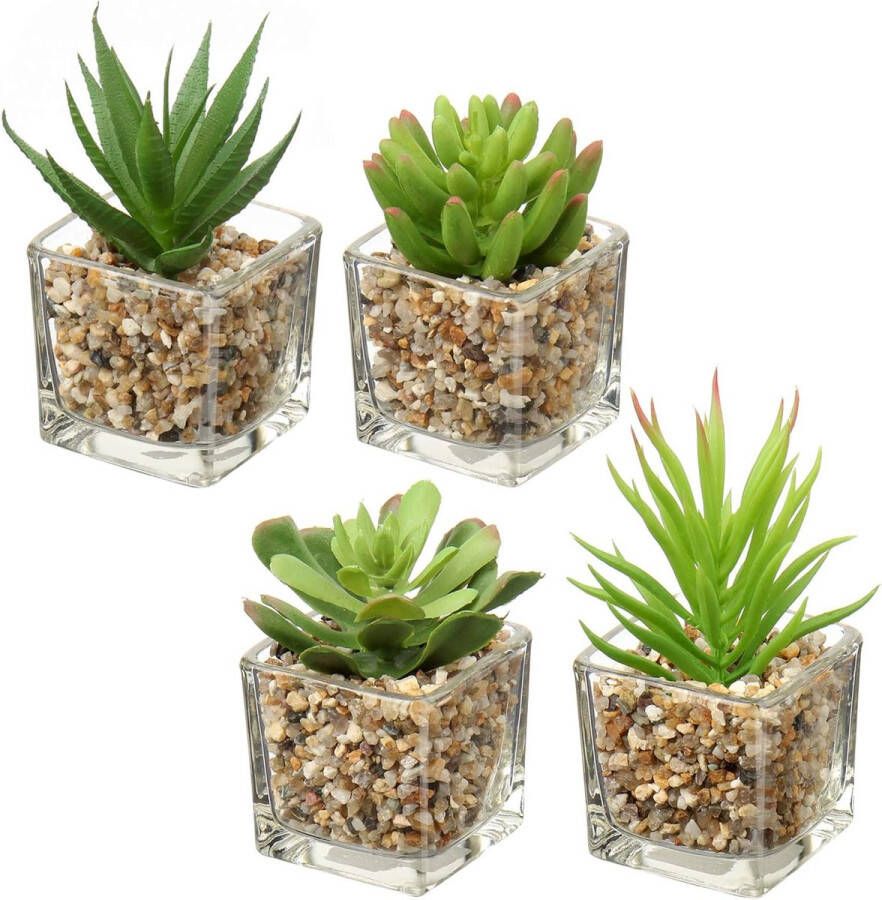Kunstmatige Vetplant Kamerplant Decoratieve Woonkamer Badkamer Decoratieve Plant Hoogte 10 5 cm in Glazen Pot Set van 4
