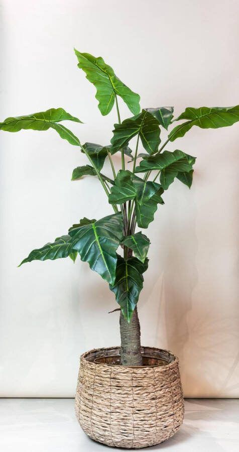 Kunstplant Alocasia Olifantsoor 150 cm