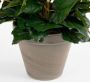 Kunstplant Begonia Geel H 37cm Keramiek sierpot Mica Decorations - Thumbnail 3