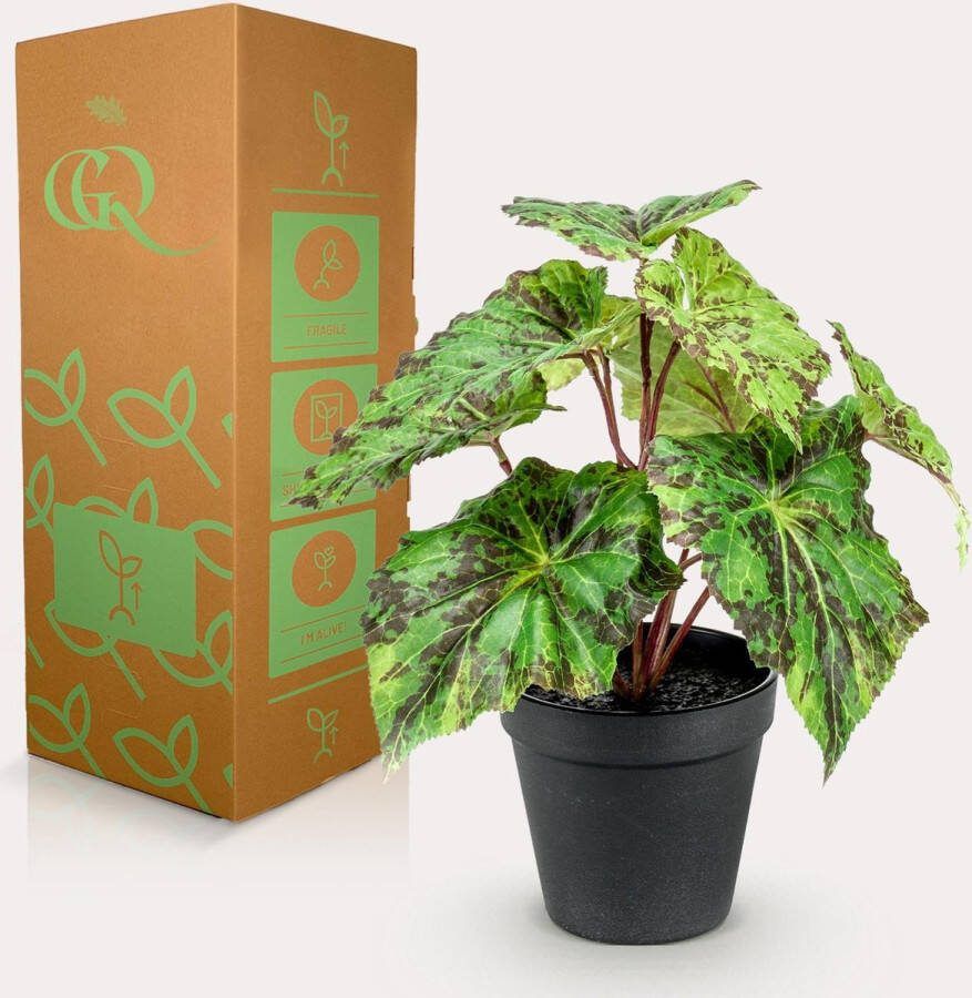 Kunstplant Begonia Rex Bladbegonia 25 cm