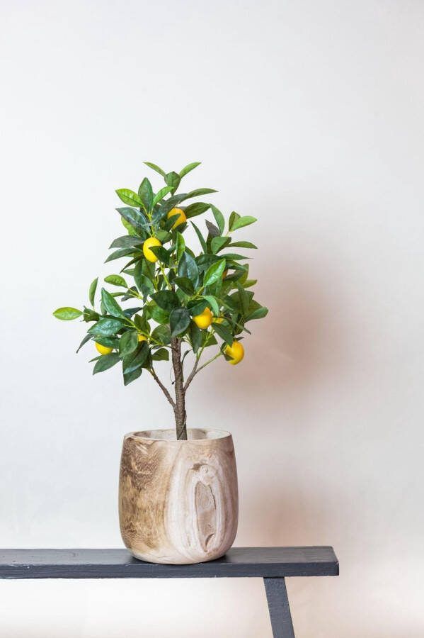 Kunstplant Citrus Limonia Citroenboom 75 cm